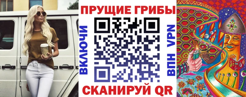 Галлюциногенные грибы Psilocybe Ростов-на-Дону